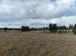 0 Singletree Rd, Buena Vista, CO 81211