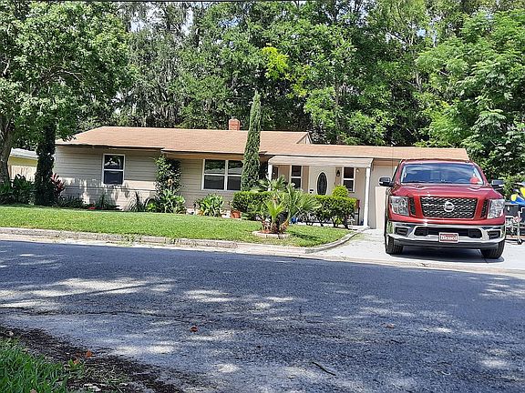 Exotic palms, unique plants