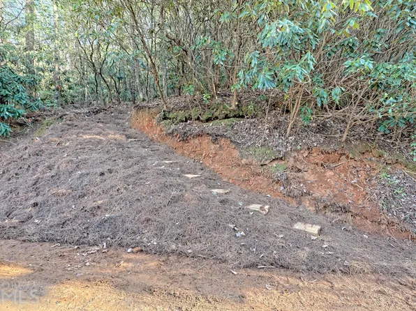 452 Mint Ln, Clayton, GA 30525