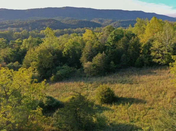 0 Brocks Gap Rd, Fulks Run, VA 22830