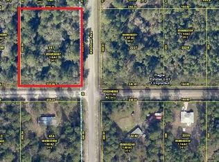 4500 Alvin St, Hastings, FL 32145