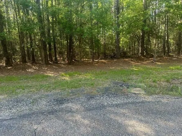 Lavinghouse Rd Parcel C, Bush, LA 70431