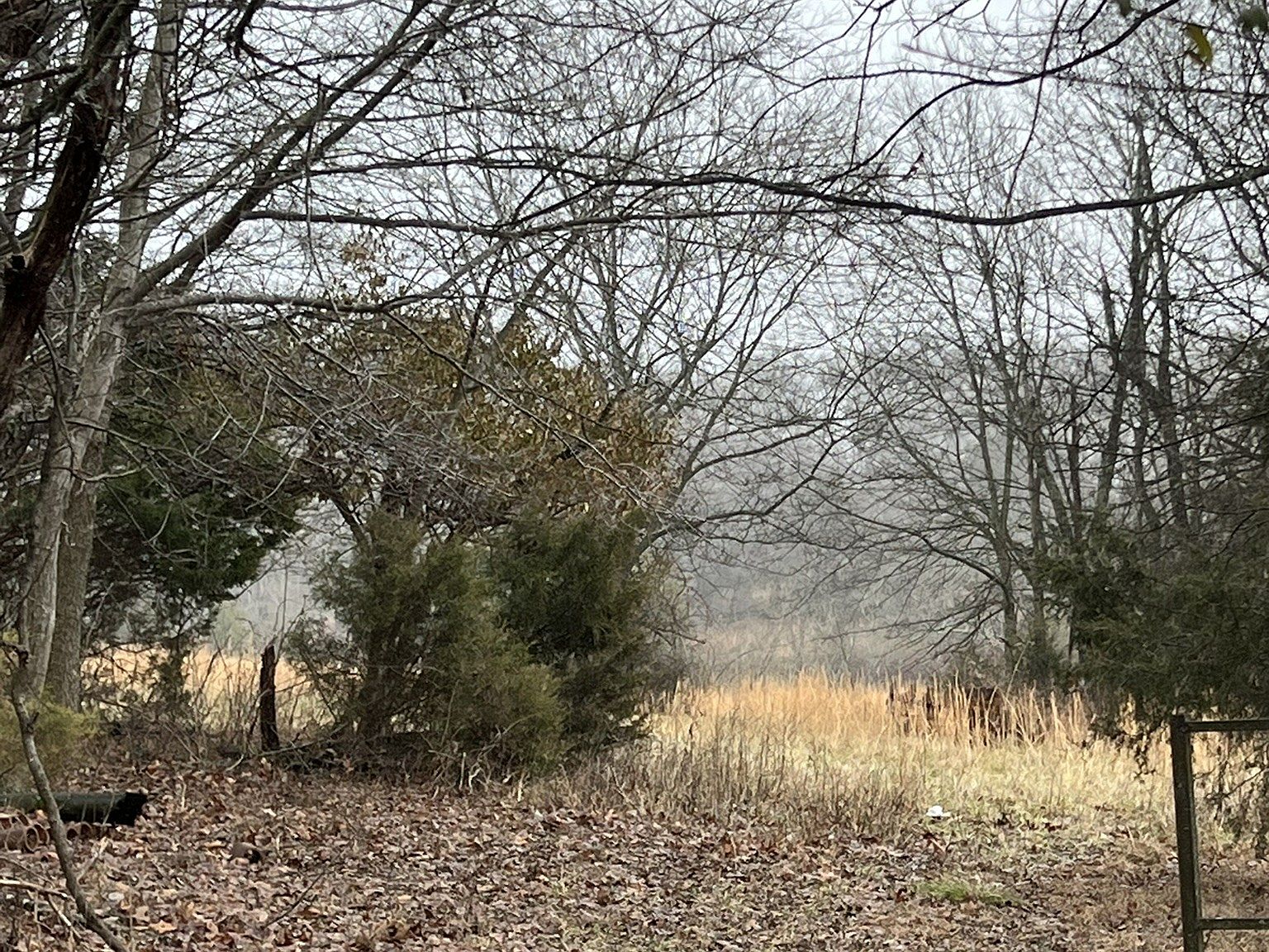 170 Coker Ford Rd, Portland, TN 37148 Zillow