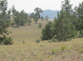 9402 Caddo Rd, Hartsel, CO 80449