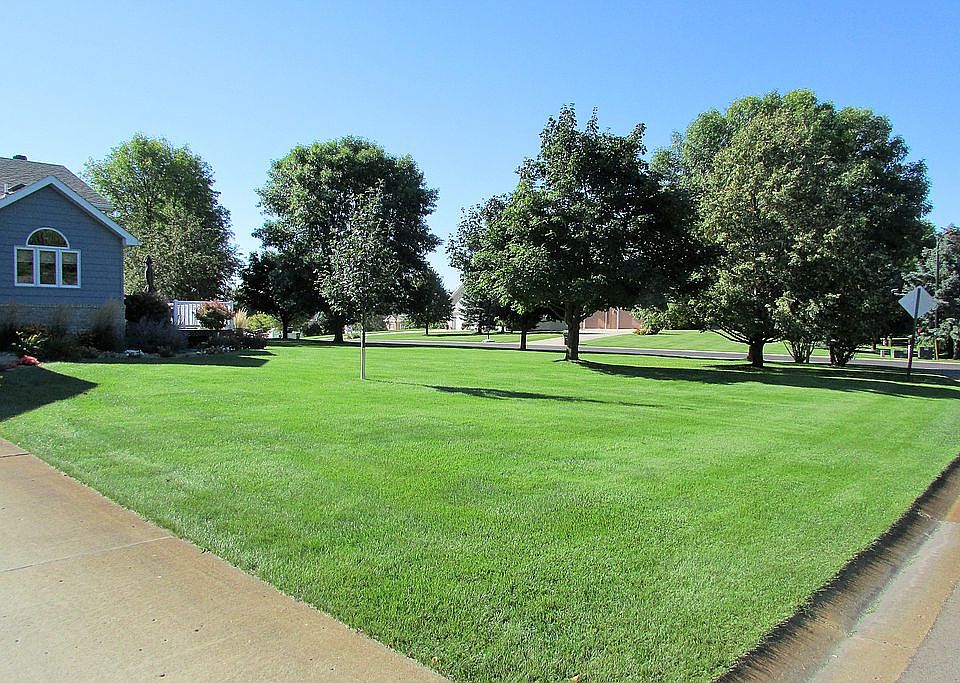 2nd image of 1501 Mc Auliffe Pl NW