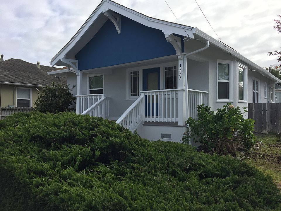 Seabright Dreaming