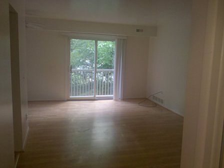 4th image of 4312 Albert Ave
