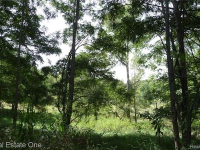 0 Indian Camp Trl, Howell, MI, 48855