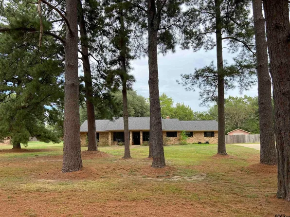 195 County Road 4164, Pittsburg, TX 75686