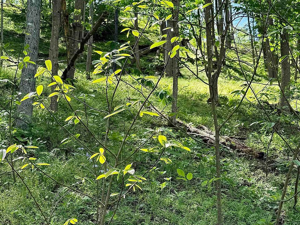 1st image of 99 Crystal Lake Rd