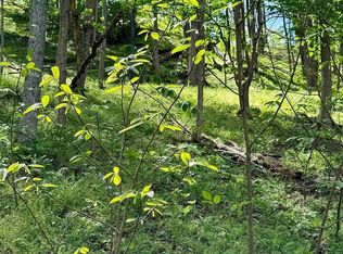 99 Crystal Lake Rd, West Union, WV 26456