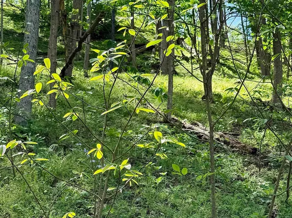 99 Crystal Lake Rd, West Union, WV 26456