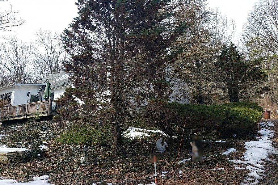 2nd image of 1366 Twin Crest Dr #R