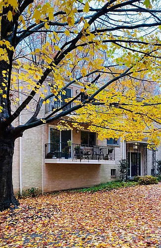 10625 Montrose Ave #201 Photo 1