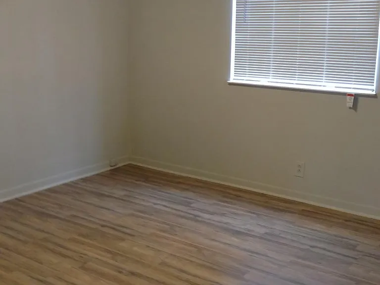 133 Needles Ct — Photo 4