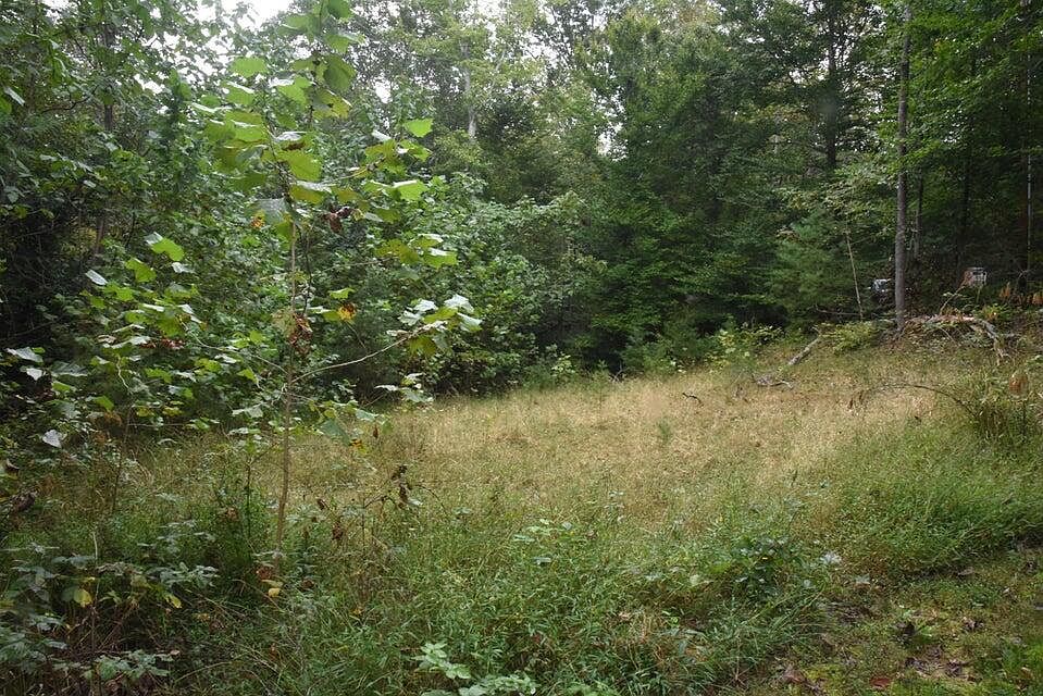 1st image of 0 Raintree Rd