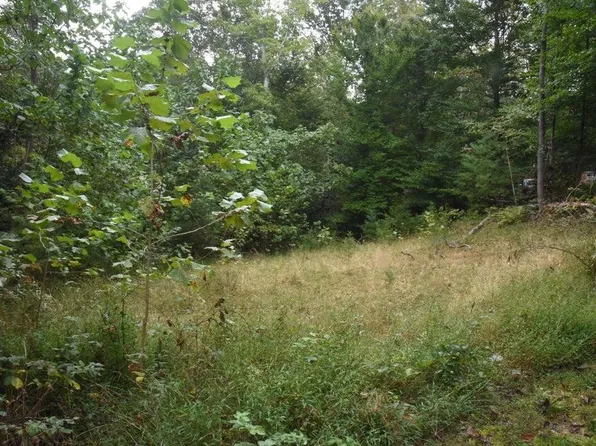 0 Raintree Rd, Roanoke, VA 24018