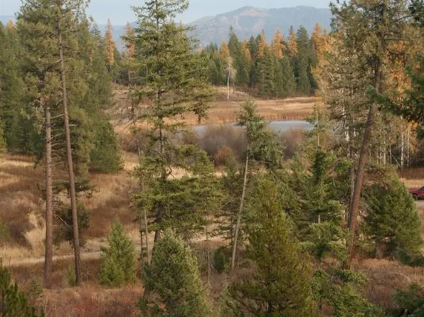 0 Little Sweden Rd Lot 1, Valley, WA 99181