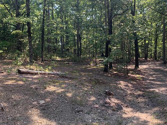 2nd image of County Road 4430