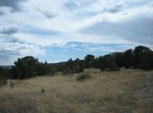 4 Crestview Rd, Edgewood, NM 87015