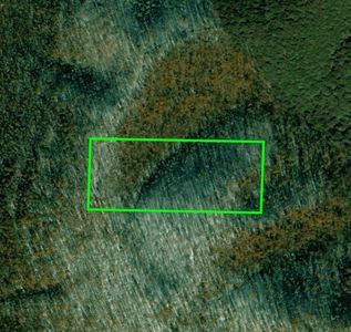 Madison #4275, Elkins, AR, 72727