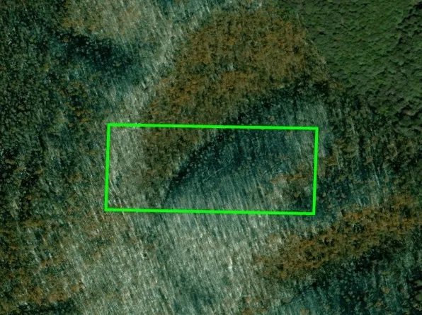 Madison #4275, Elkins, AR 72727