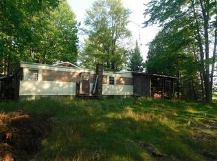 4255 Alvin Rd, Mikado, MI 48745