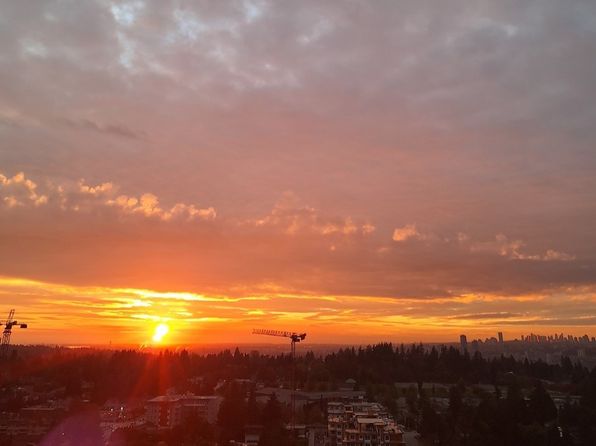 13428 105th Ave, Surrey, BC
