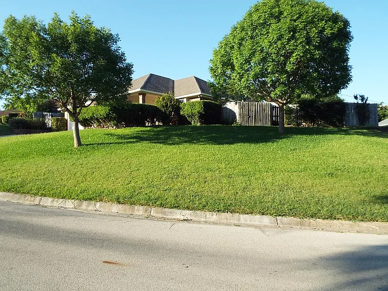 Lush green lawn