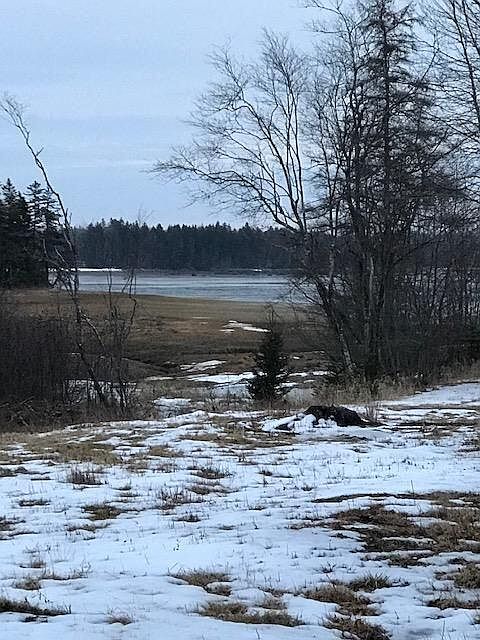 2nd image of 0 Oak Point Road