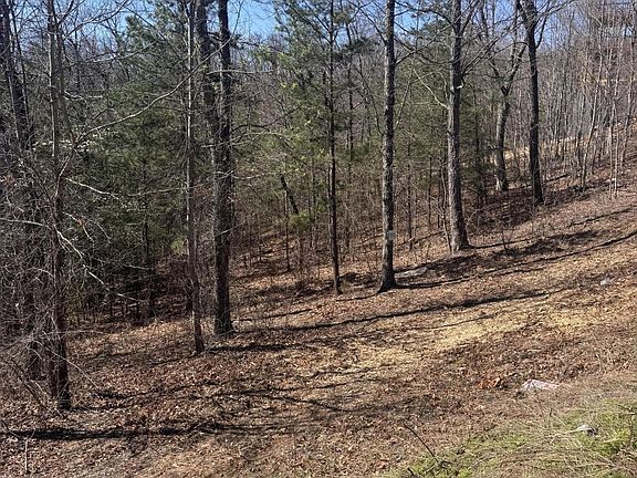 5th image of 100 Laurel Cove Trl Lot 100