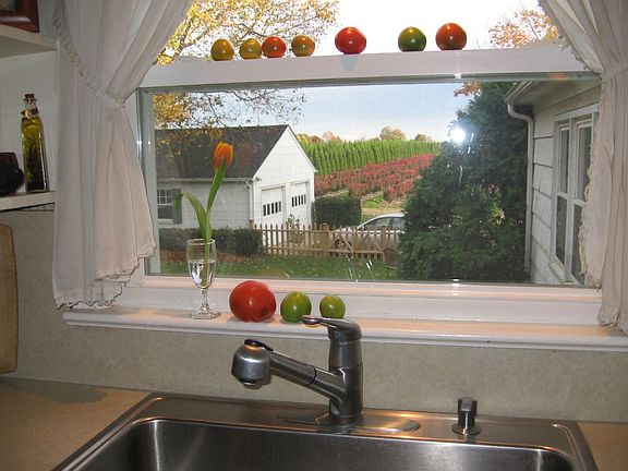 View from kitchen sink