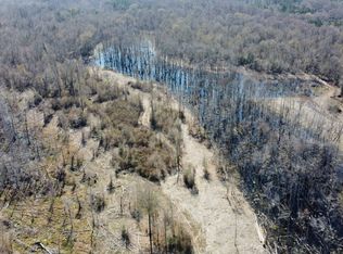 1201 Mouth Of The Creek Rd, Merryville, LA 70065