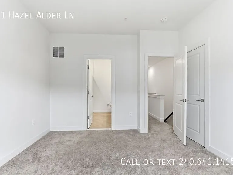 311 Hazel Alder Ln — Photo 18