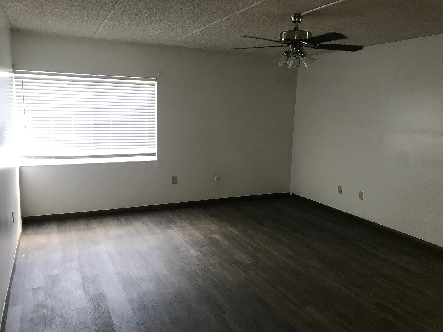 Bonny Apartments — Photo 4