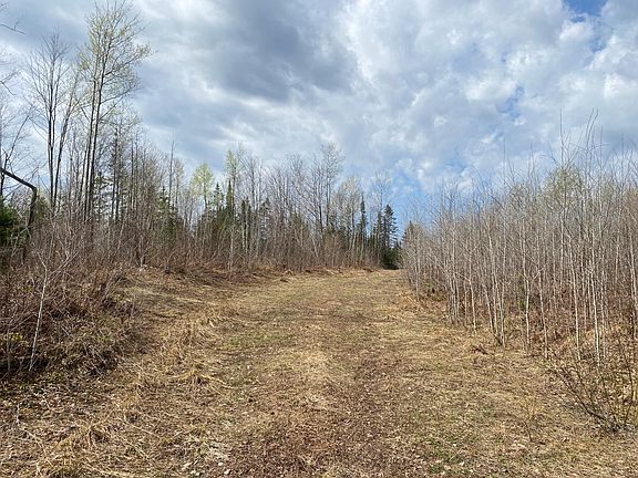 2nd image of Near Wilson Lake Rd