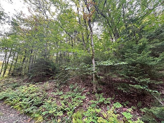 3rd image of 0 Manley Phelps Rd