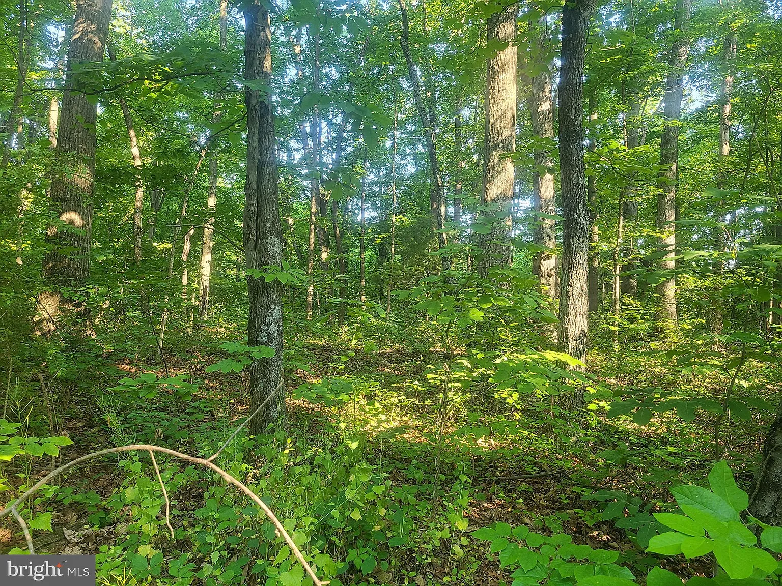 Morosko Ln photo 1