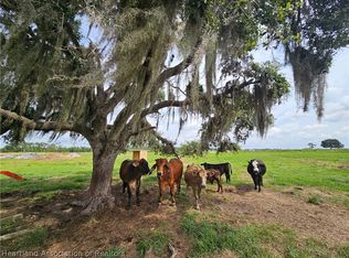 1013 Cattle Ranch Rd, Venus, FL 33960