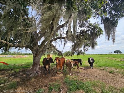 1013 Cattle Ranch Rd, Venus, FL, 33960