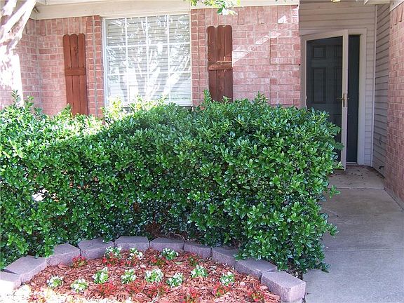5th image of 800 Ogden Dr