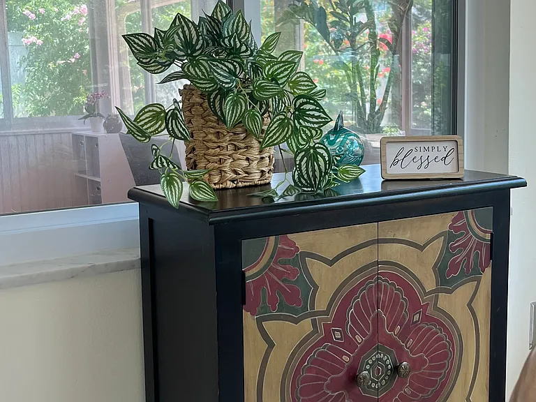 Santa Clara Dr — Photo 35