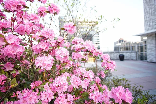 Rented by Keller Williams NYC | media 41