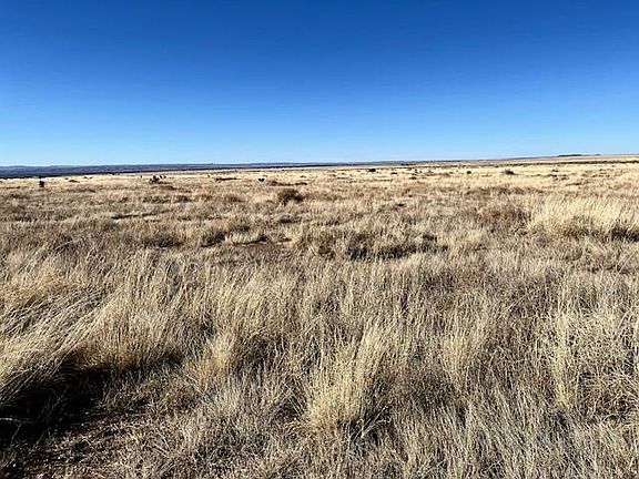 2nd image of 213 Indigo Loop