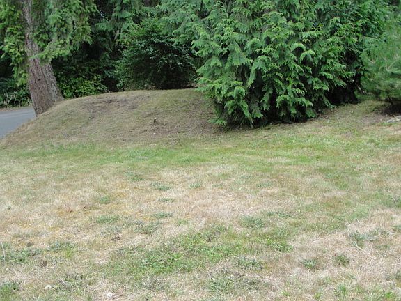 5th image of 41327 214th Ave SE