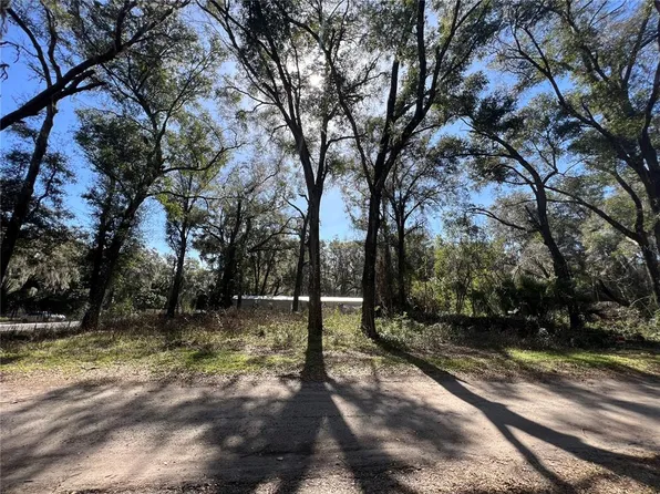 16130 NE 30th Ct, Citra, FL 32113