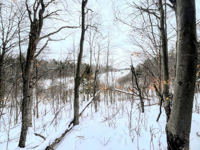 0 Eddy Pyrites Rd, Canton, NY, 13617
