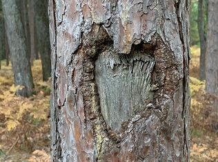 2265 N Manistee River Rd, Grayling, MI 49738