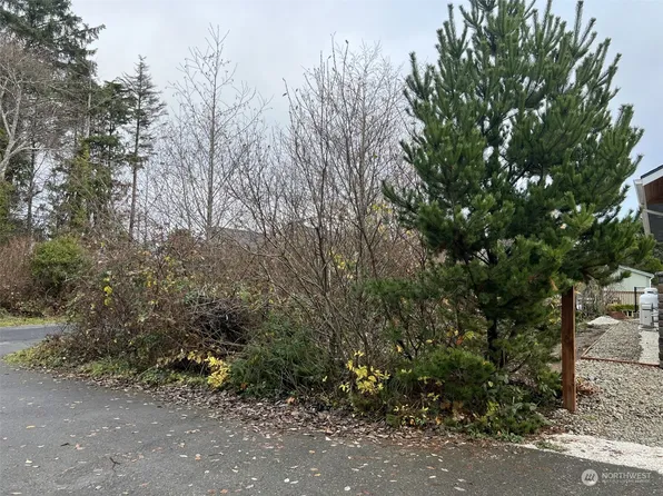 5 Drake Lane, Pacific Beach, WA 98571