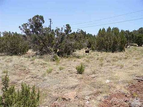 2nd image of 1761 Thorn Pl